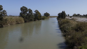 The Guadalhorce Canal.