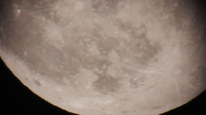 Moon showing impact marks